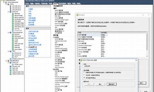 esxi 硬件_